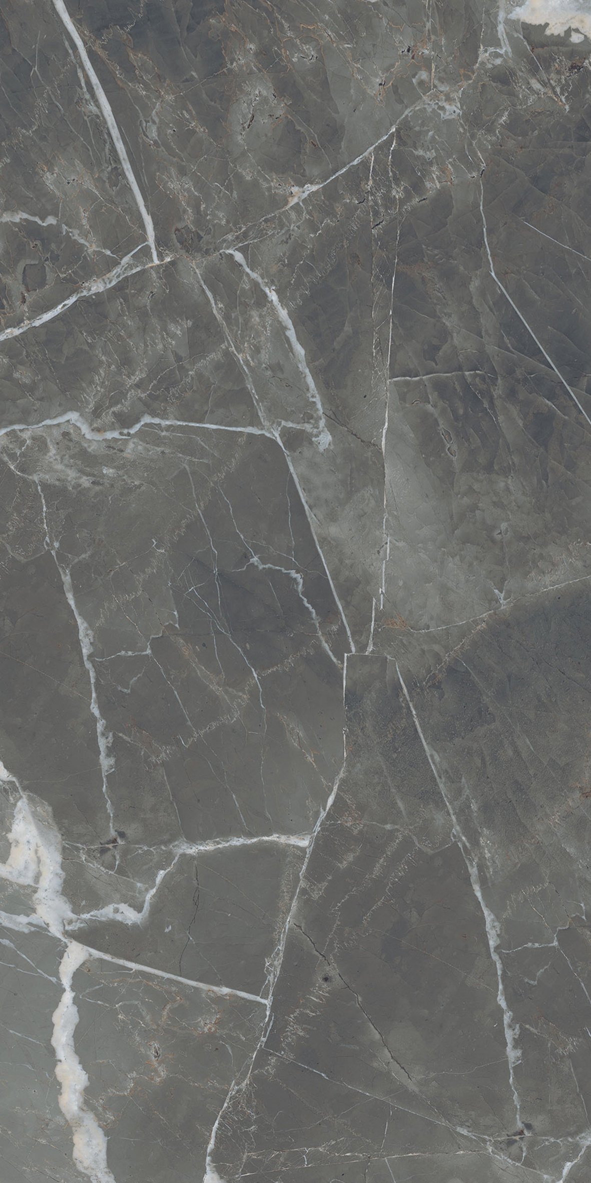 Stone Calacatta Black 60x120