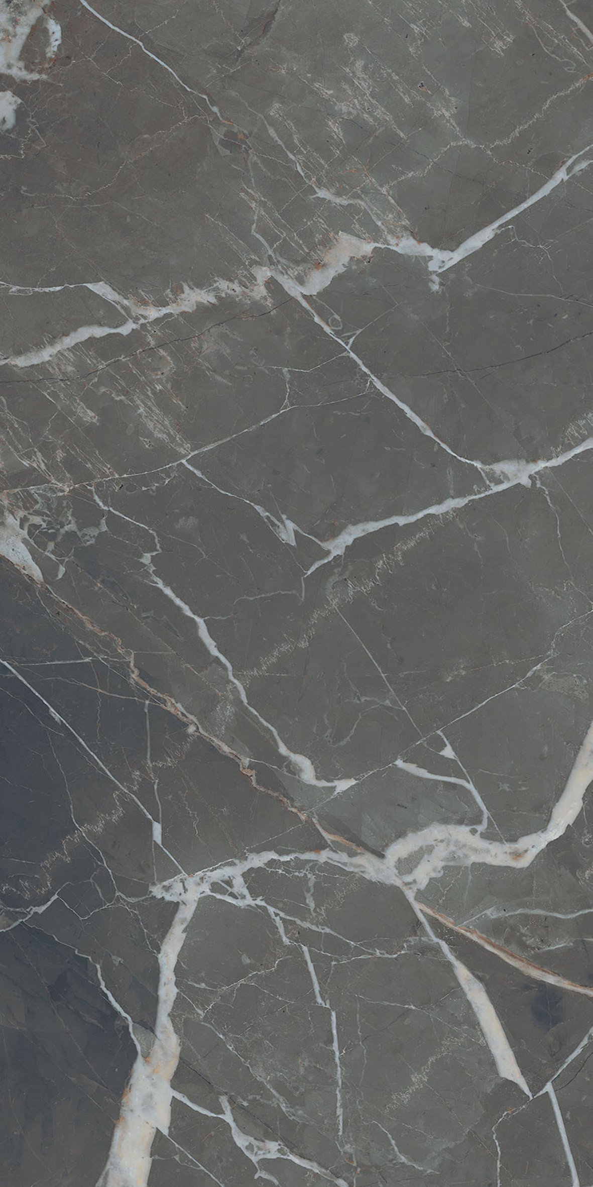 Stone Calacatta Black 60x120