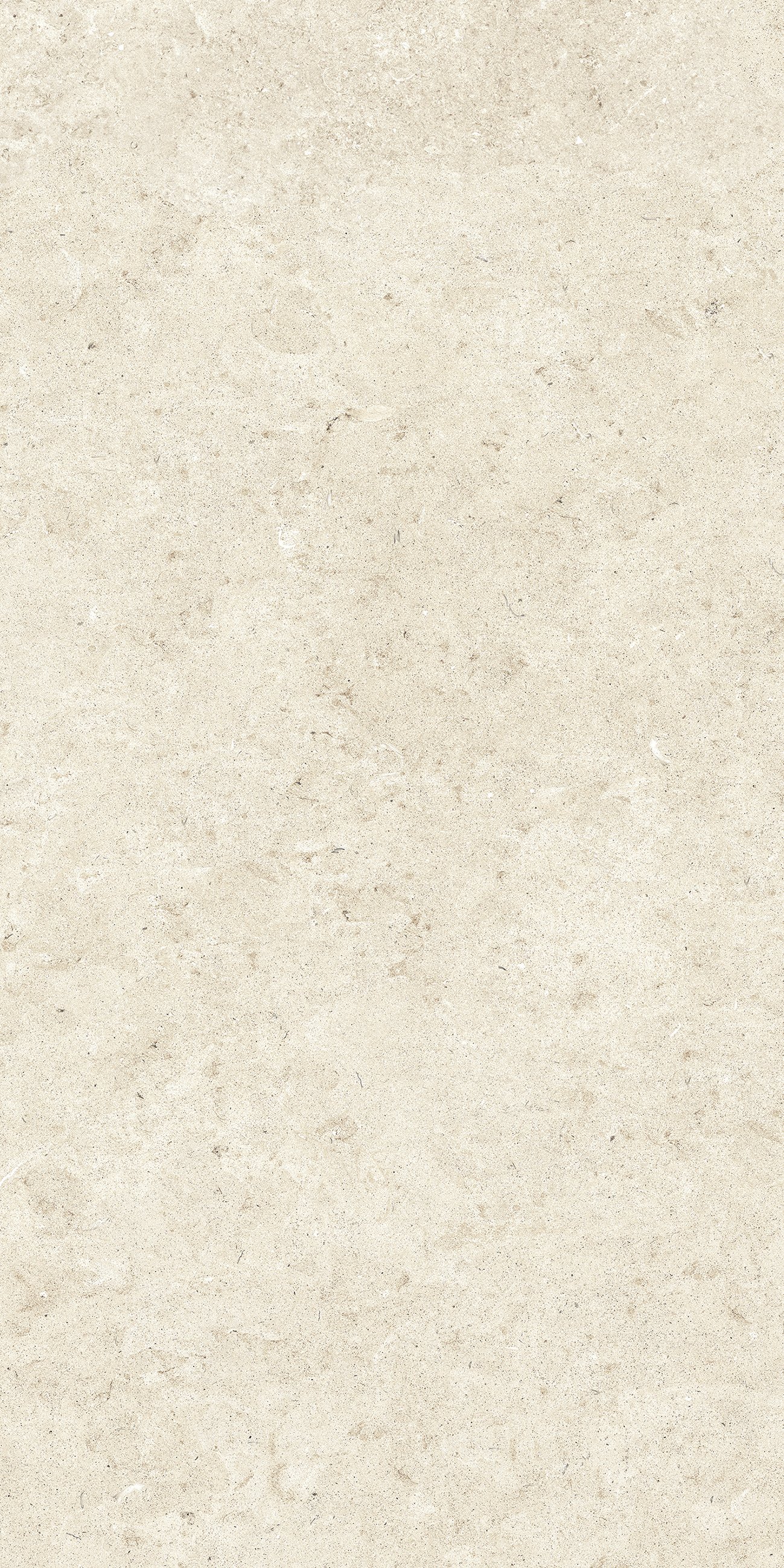 Stone_02 60x120