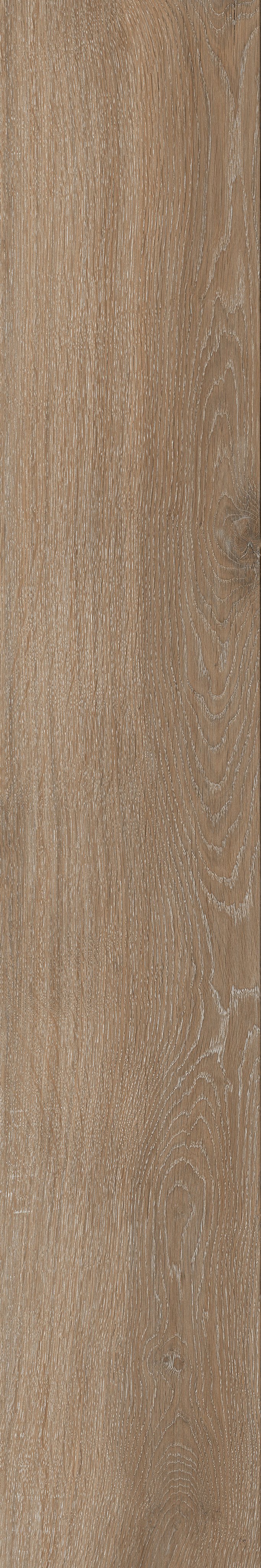 Nutmeg 20x120