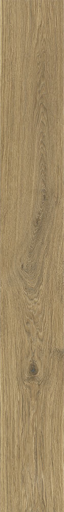Авангард Oak