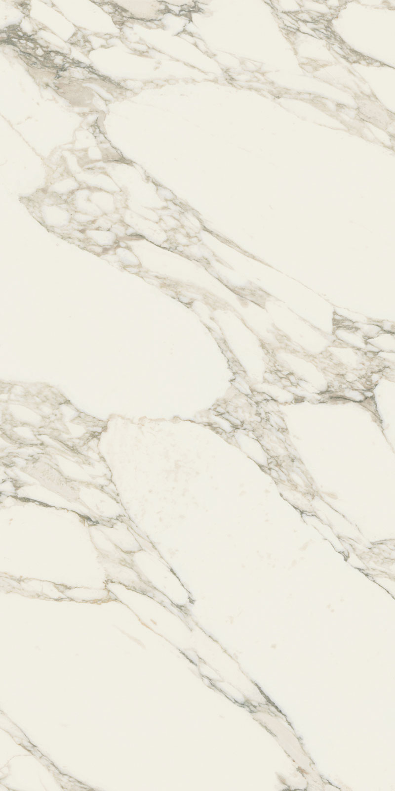 Шарм Делюкс 2 Arabescato White 60x120