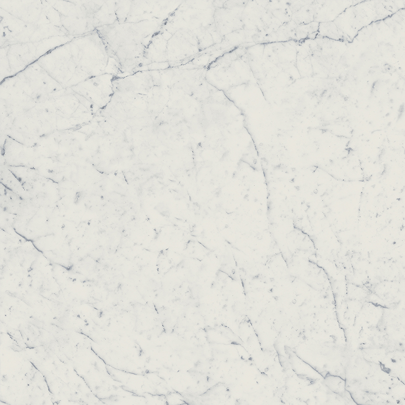 Charme Extra Wall Project Carrara 59x59
