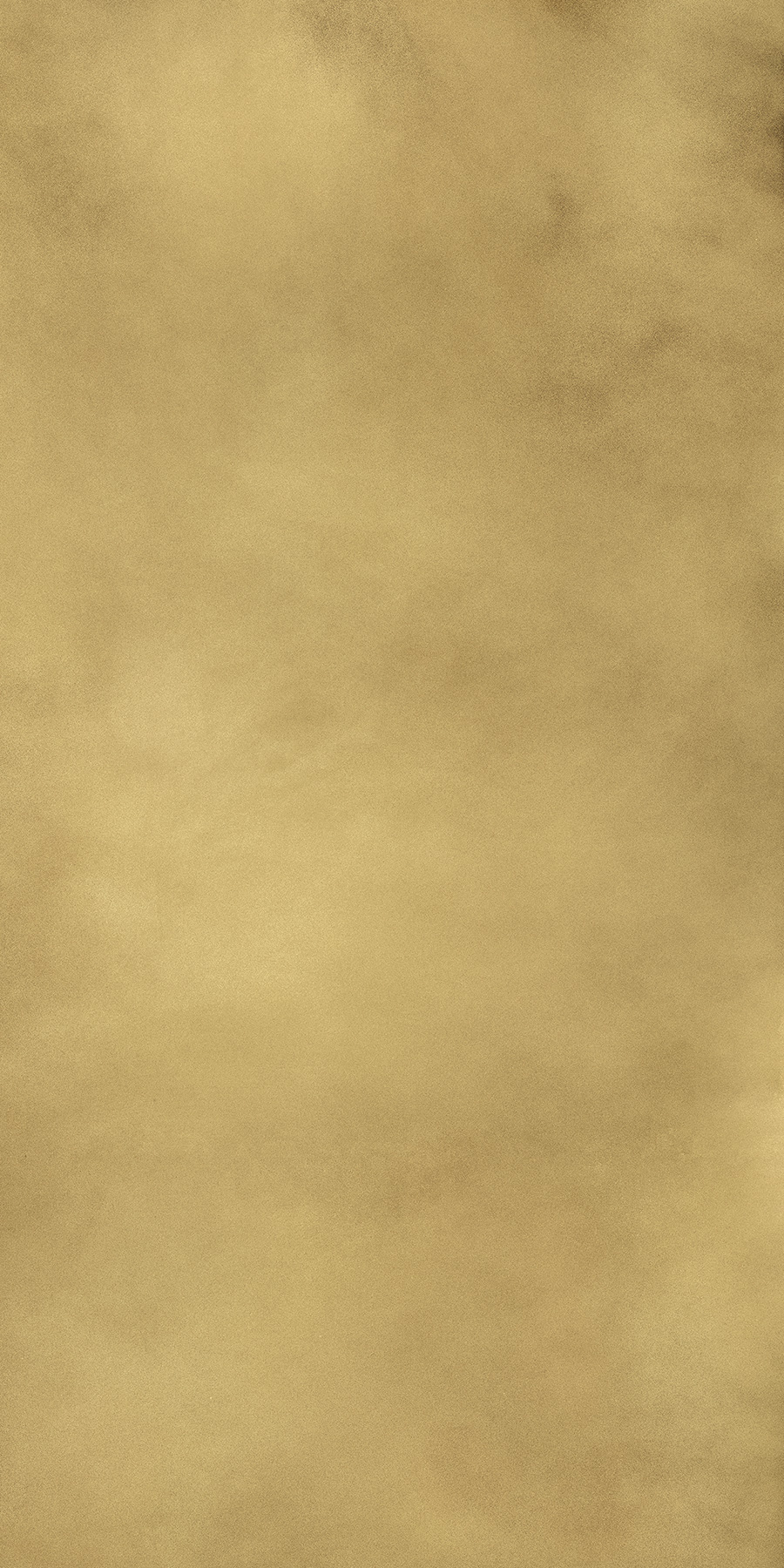 CONTINUUM BR.GOLD 80X160 LAP