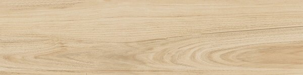 Maison Honey 30x120