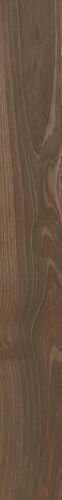 Maison Brandy 15x120