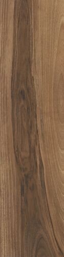 Maison Walnut 30x120