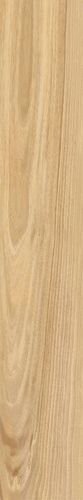 Maison Champagne 20x120