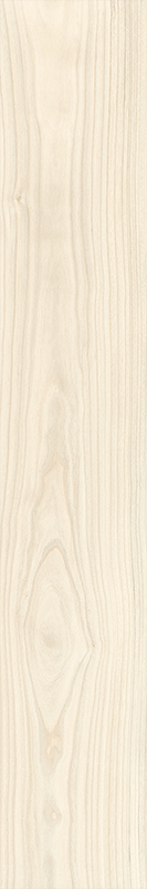 Room Wall Project 120x20