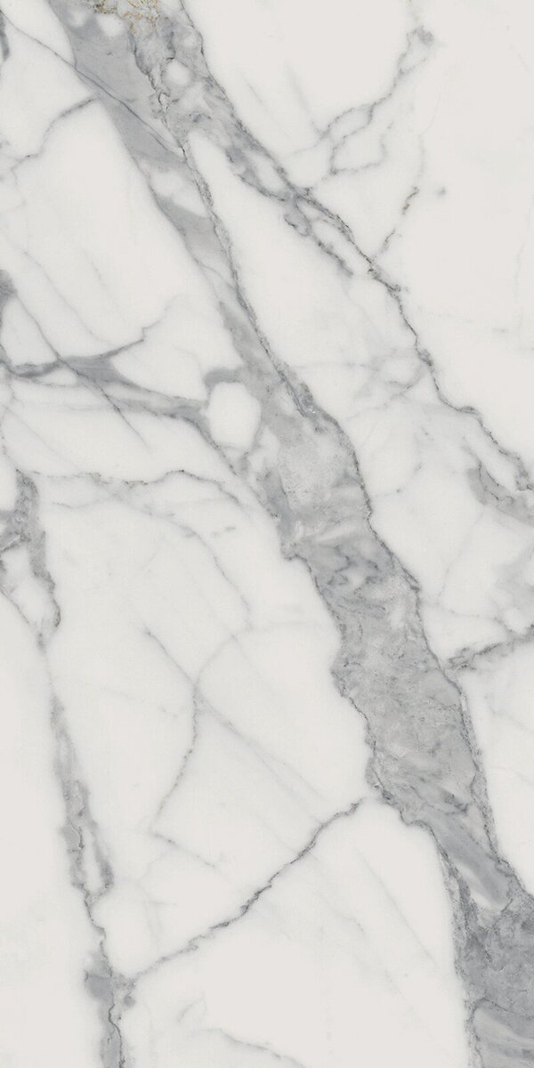 Charme Evo Statuario Nat Rett 60x120