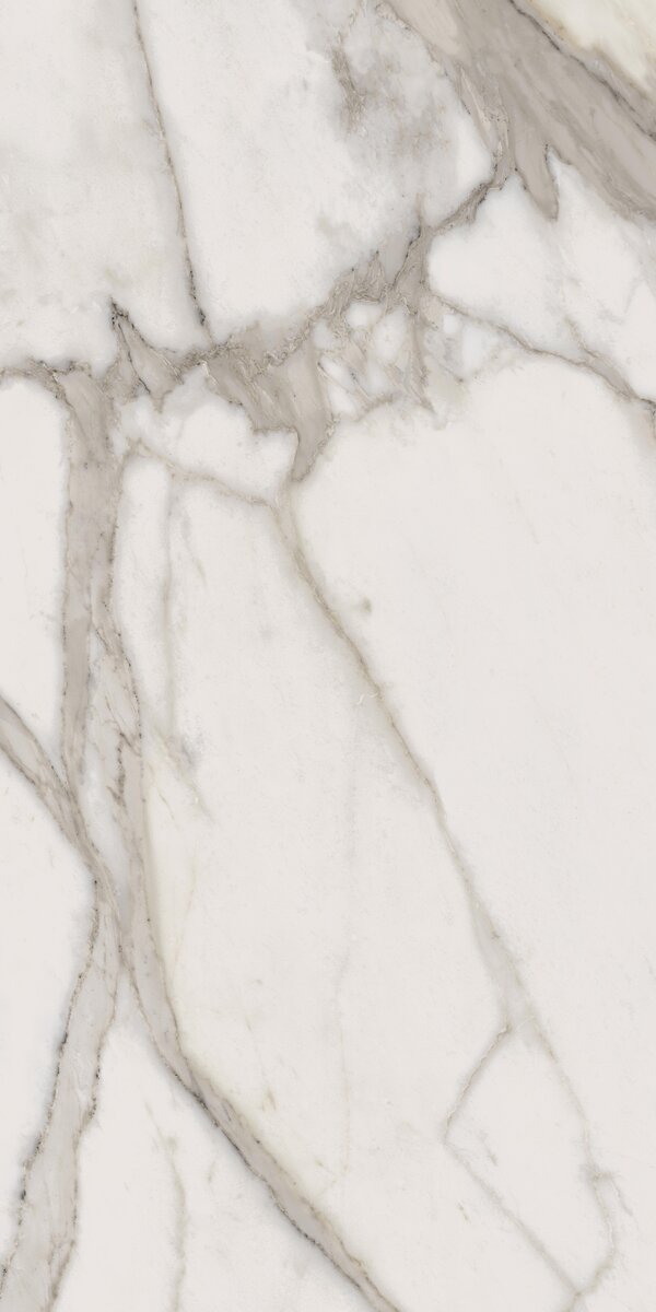 Charme Evo Calacatta Lux Rett 60x120