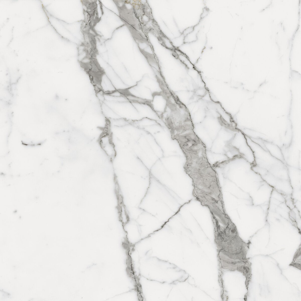 Charme Evo Statuario Nat Rett 80x80
