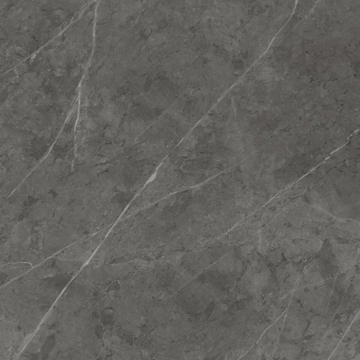 Charme Evo Antracite Nat Rett 80x80