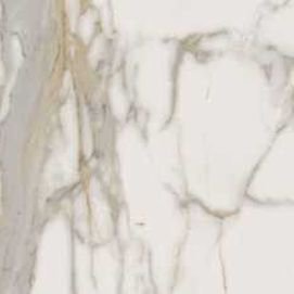 Charme Evo Calacatta Nat Rett 60x60