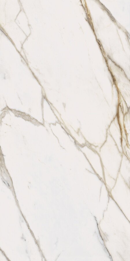 Charme Evo Calacatta Nat Rett 80x160