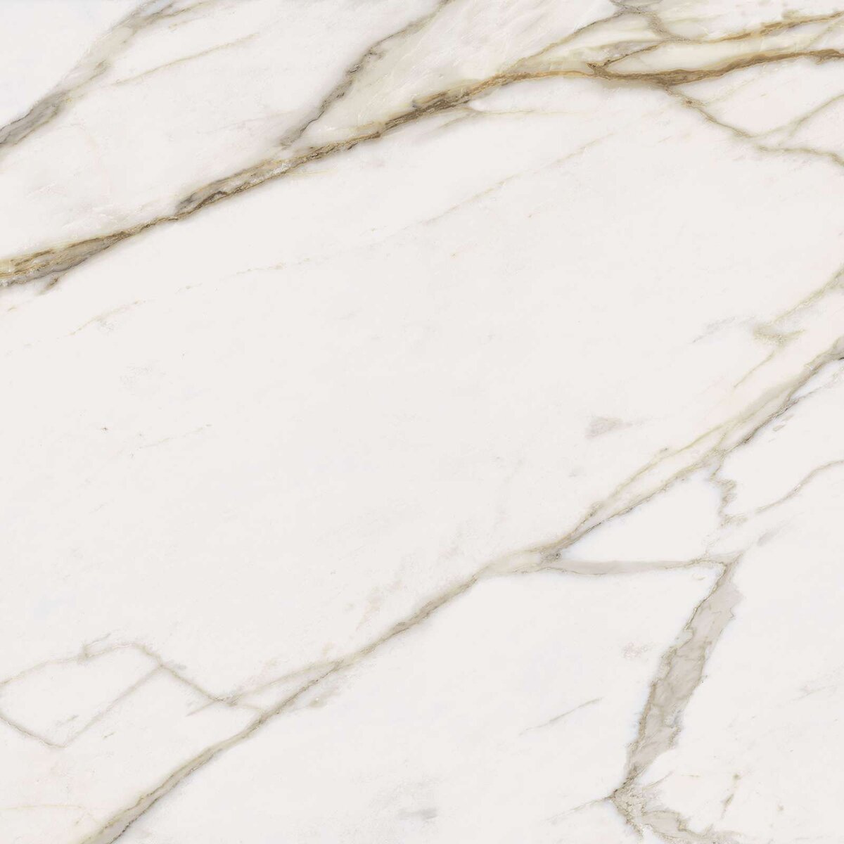Charme Evo Calacatta Nat Rett 80x80