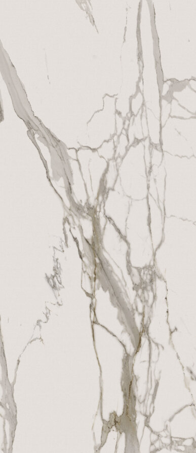 Charme Evo Calacatta Lux Rett 120x278