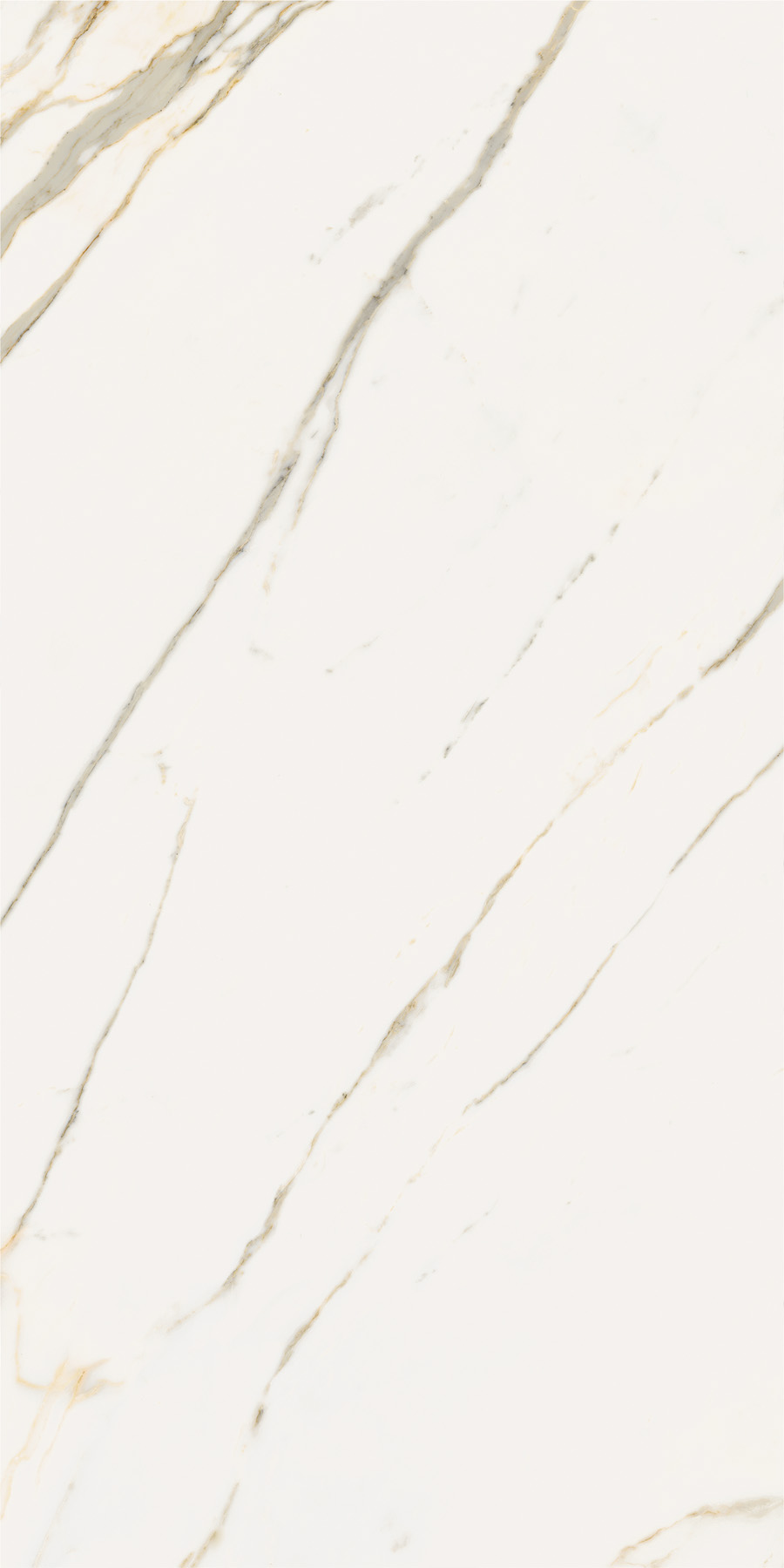 Стелларис Calacatta Gold 80x160