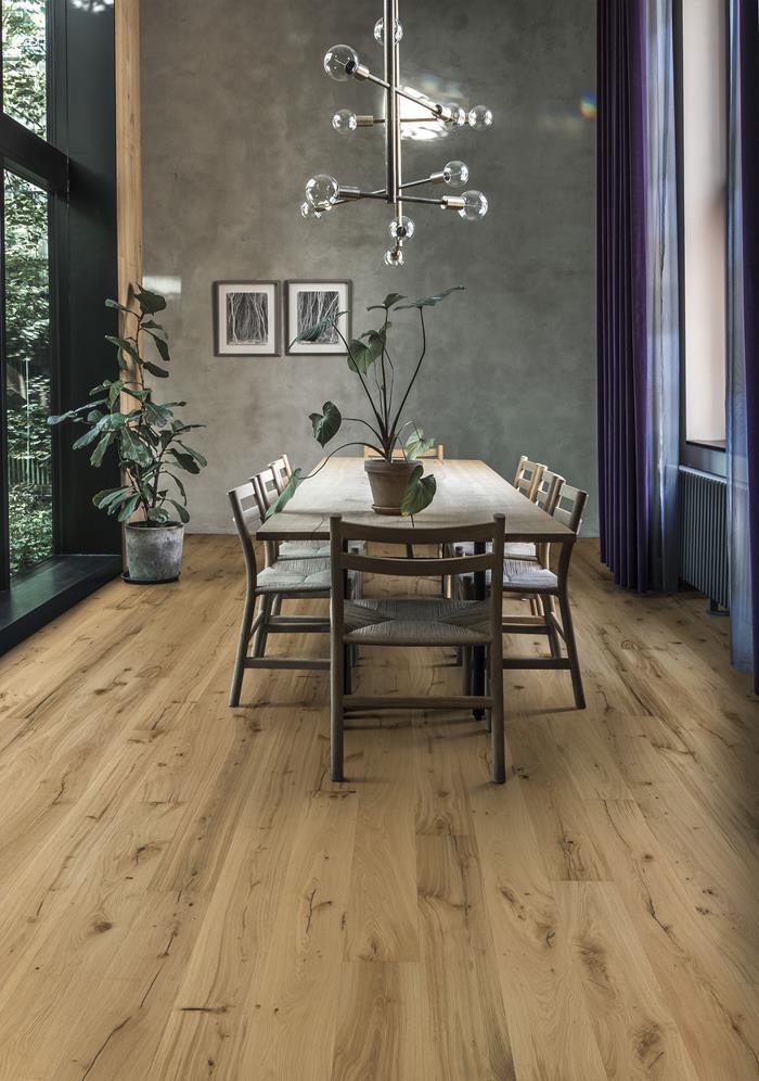OAK PALLIDO