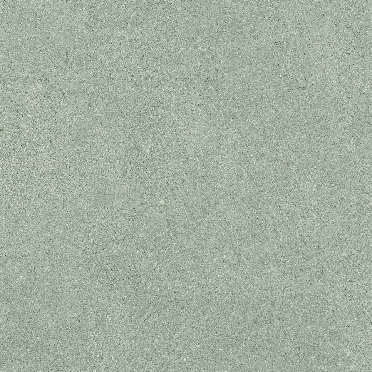 Harbor Grey 60×60