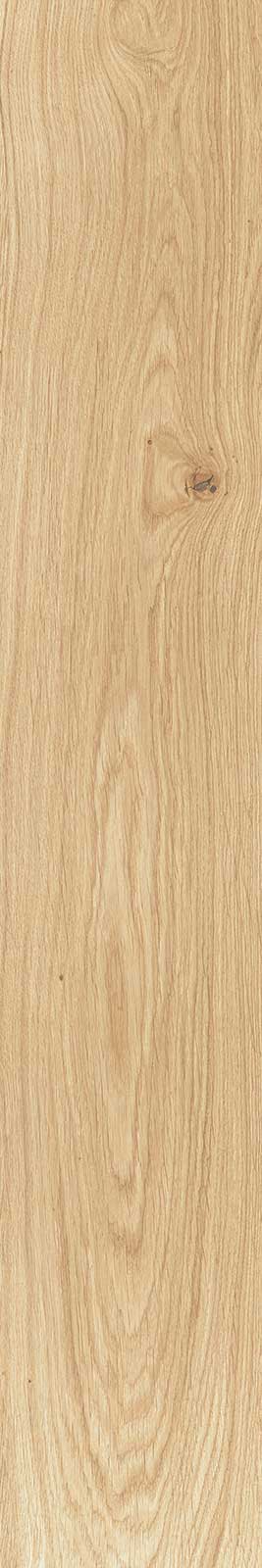 Journey Almond 20×120