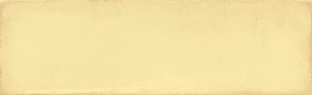 montparnasse 8,5×28,5
