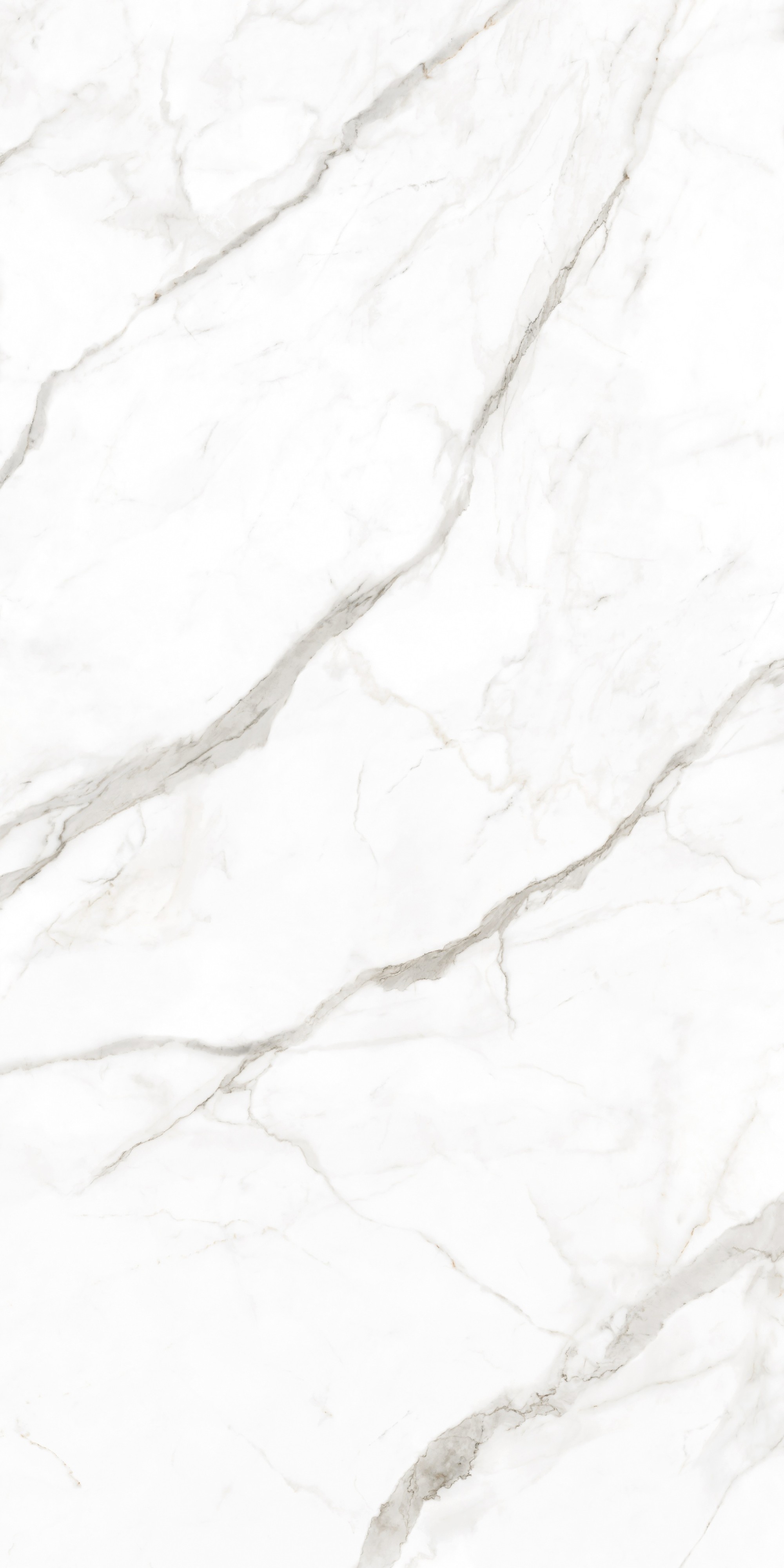 Calacatta Oro Venato Book Match Polished
