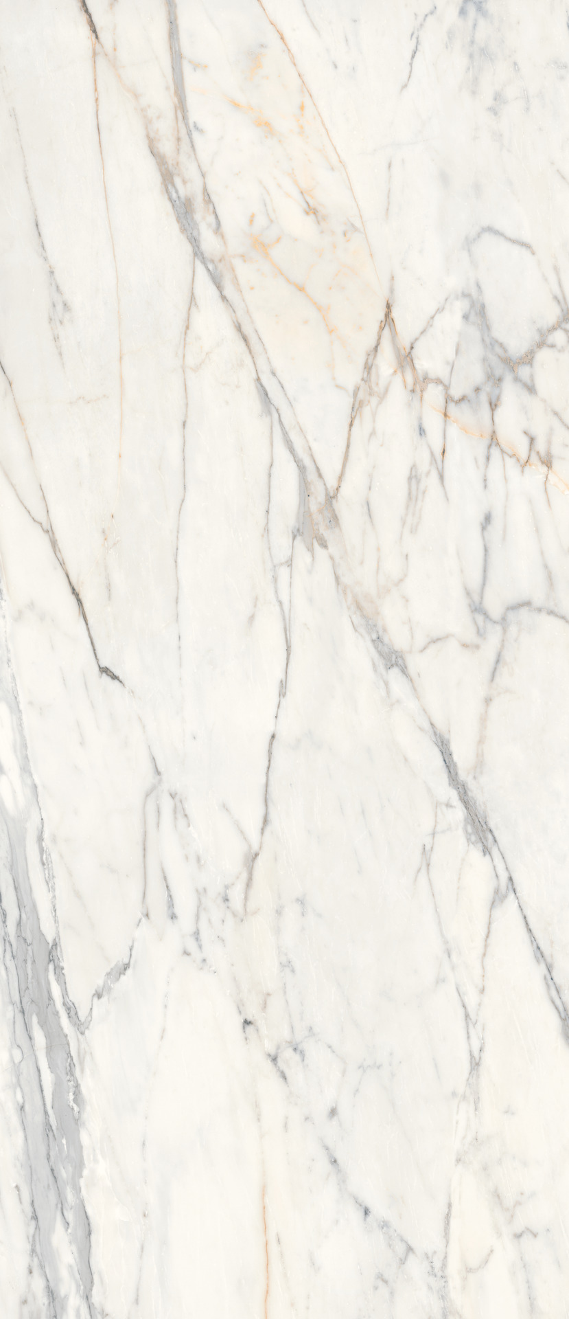 Grande Marble Look Golden White Rettificato