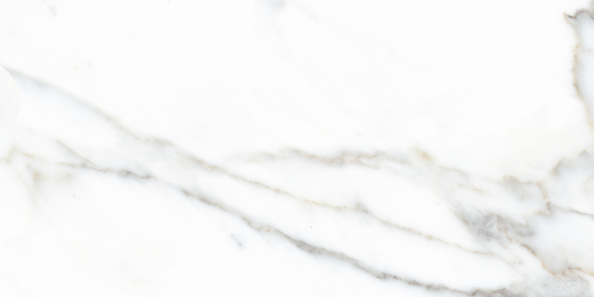 Arcadia Calacatta Ivory Rett.