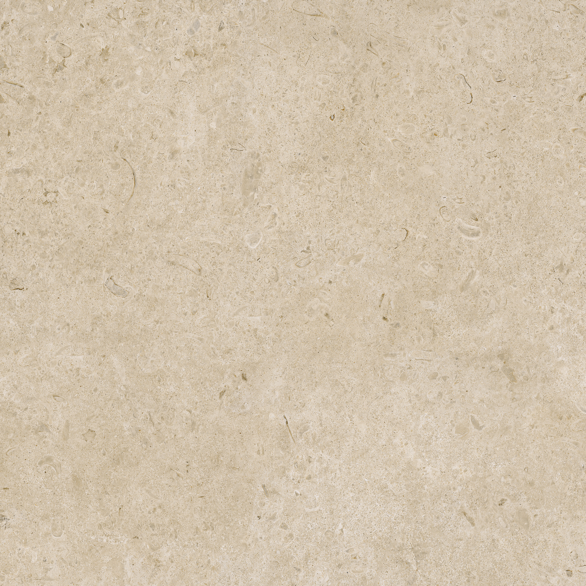 Caracter Greige Rett.