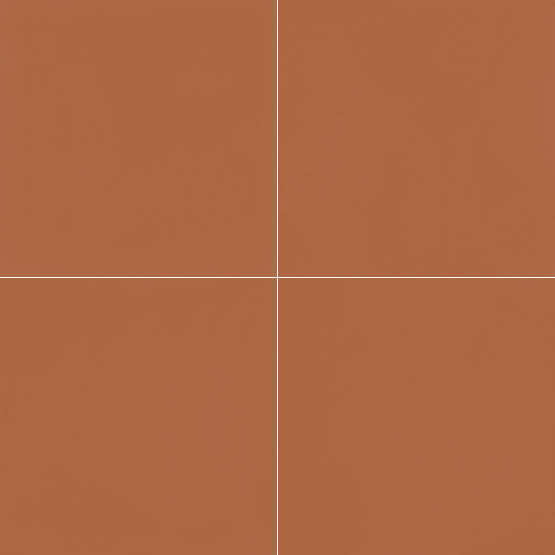 D_Segni Colore / интерьер