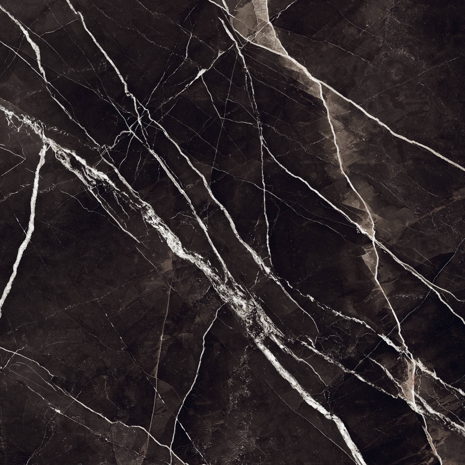 Grande Marble Look Calacatta Black Matt Rett.