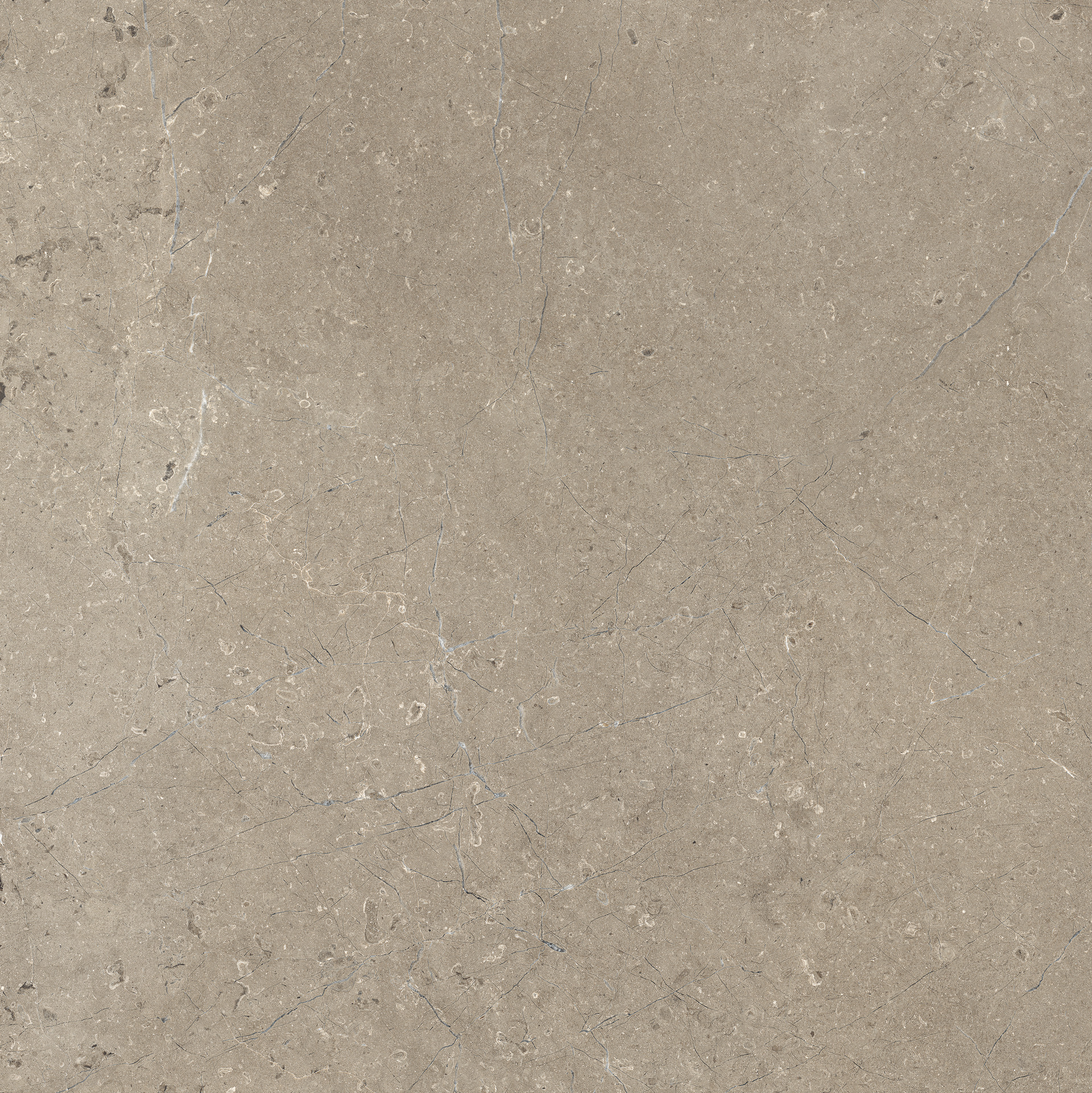 Limestone Taupe Str
