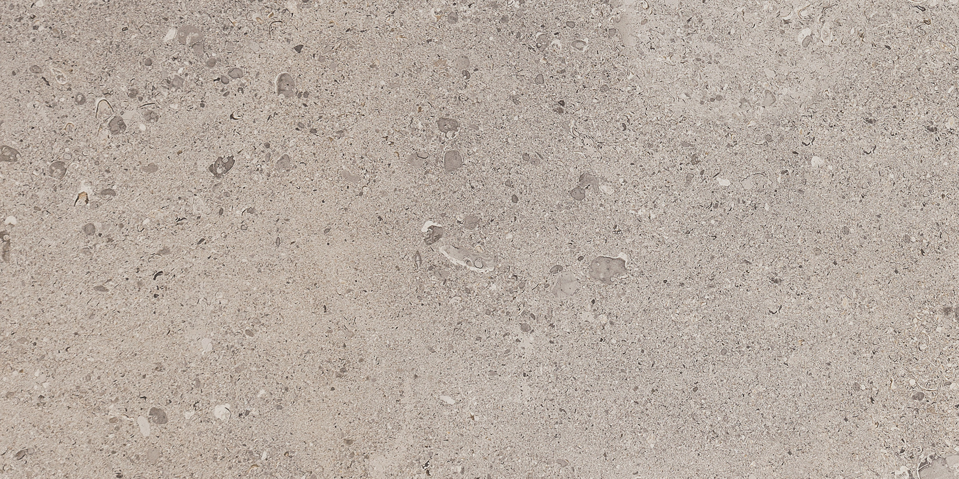 Gris Fleury Taupe Rett.