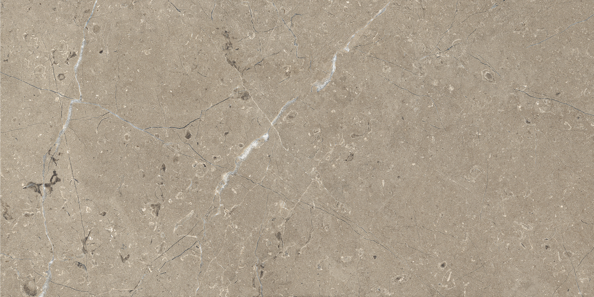 Limestone Taupe Str