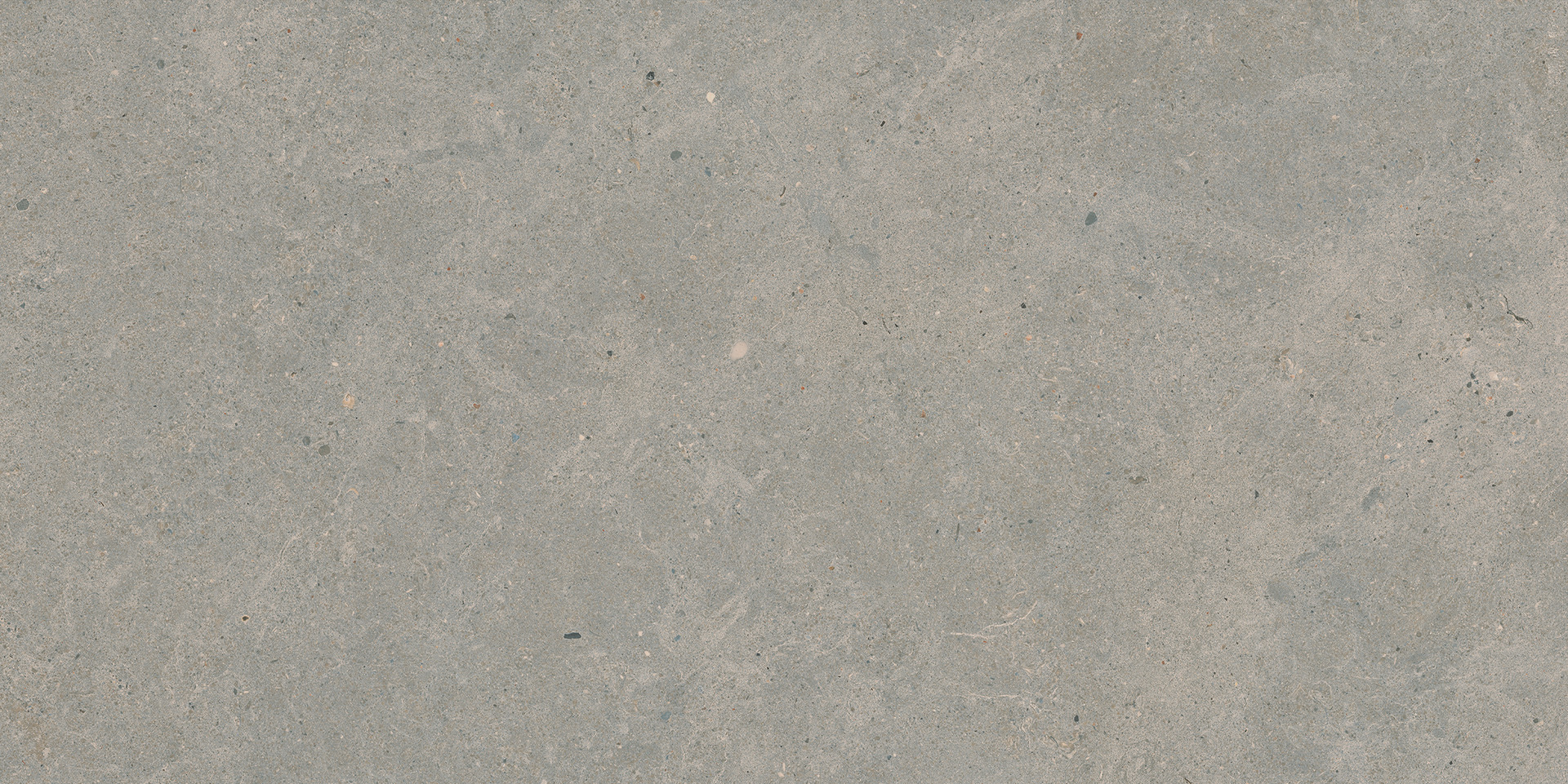 Moon Grey Rett.