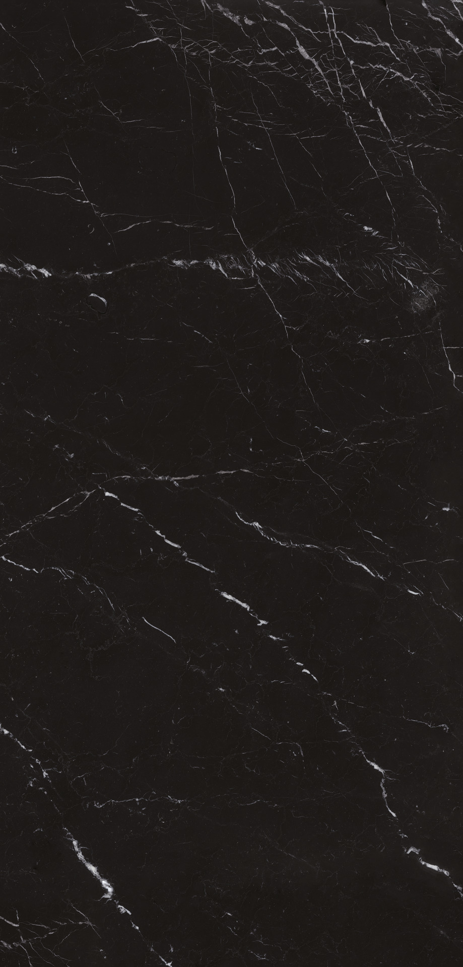 Naturalia / интерьер
