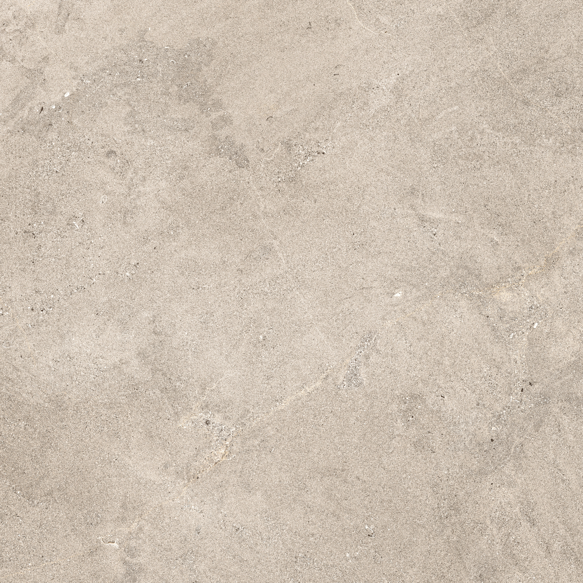 Naturalia20 / интерьер