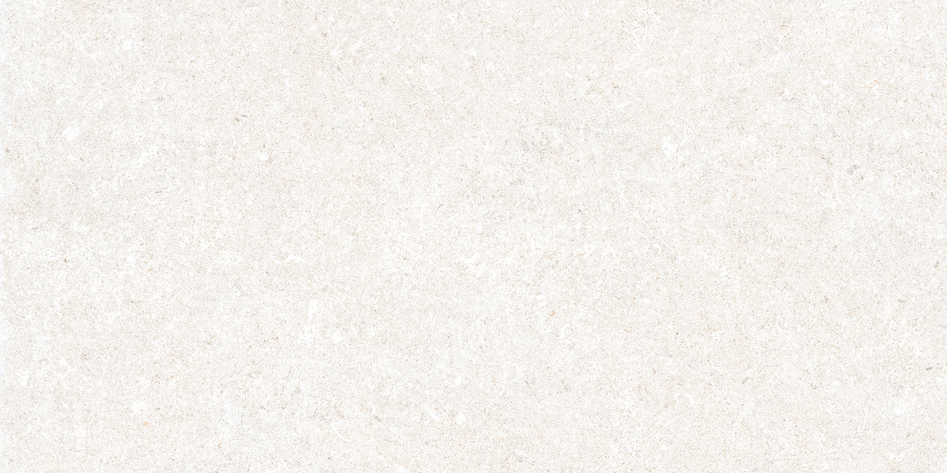 Stony Ivory Rett.