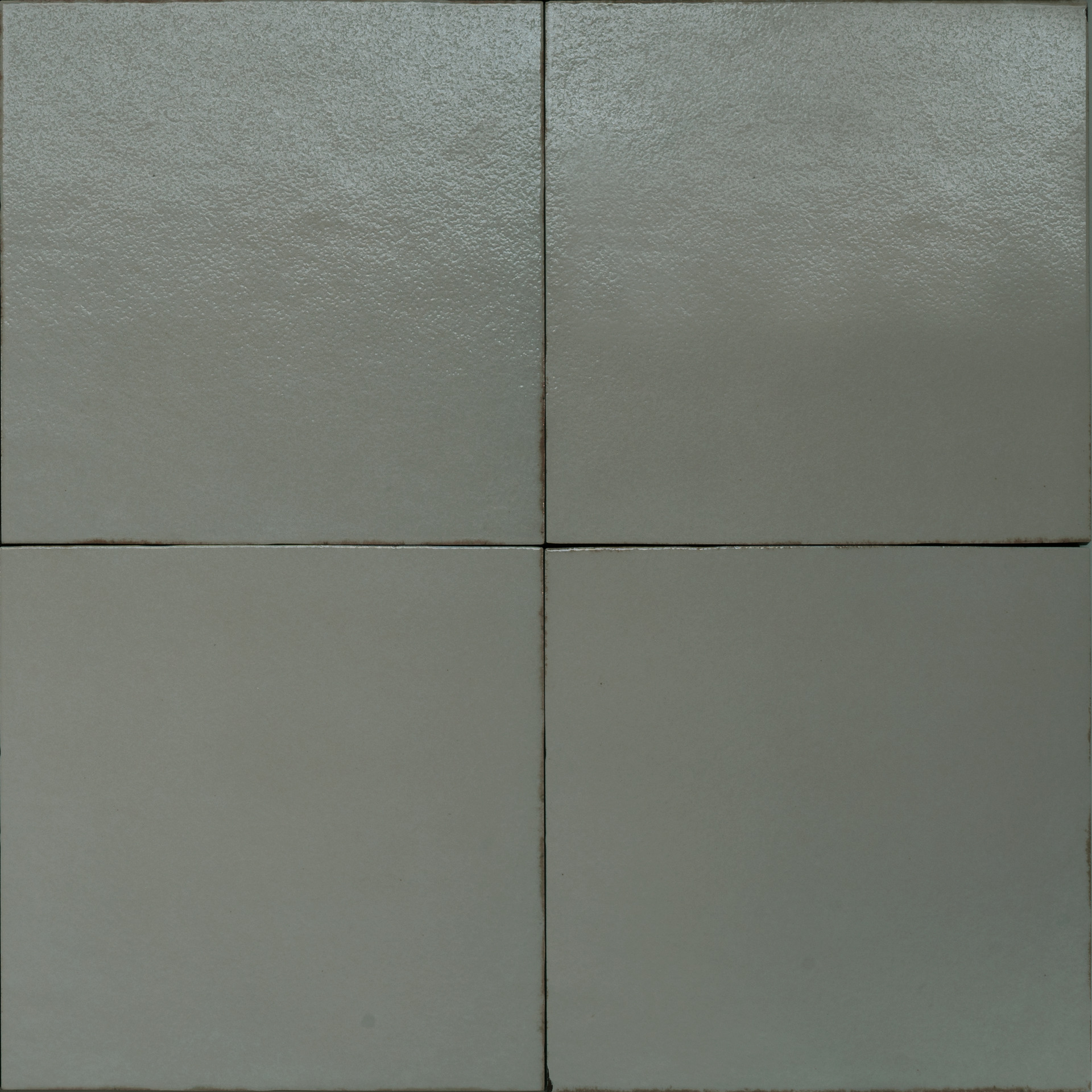 Terramater Lichene Lux