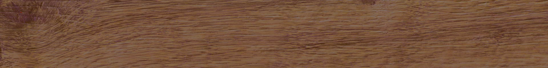 Treverkhome MJWC