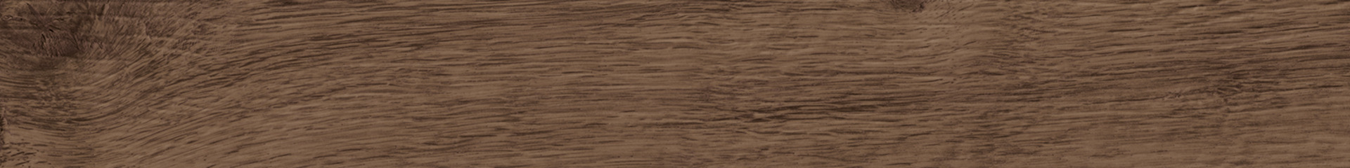 Quercia