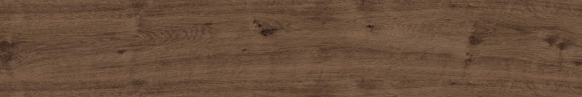 Quercia