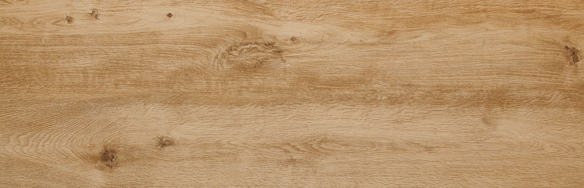 Treverkhome20 MLUG