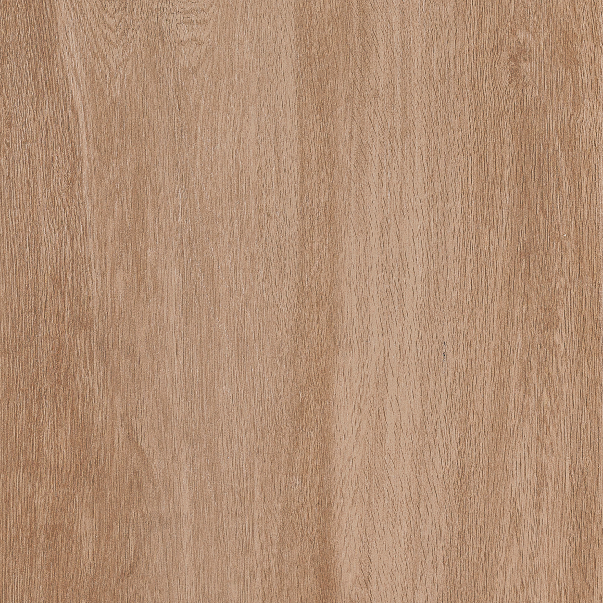 Treverkhome20 MML0