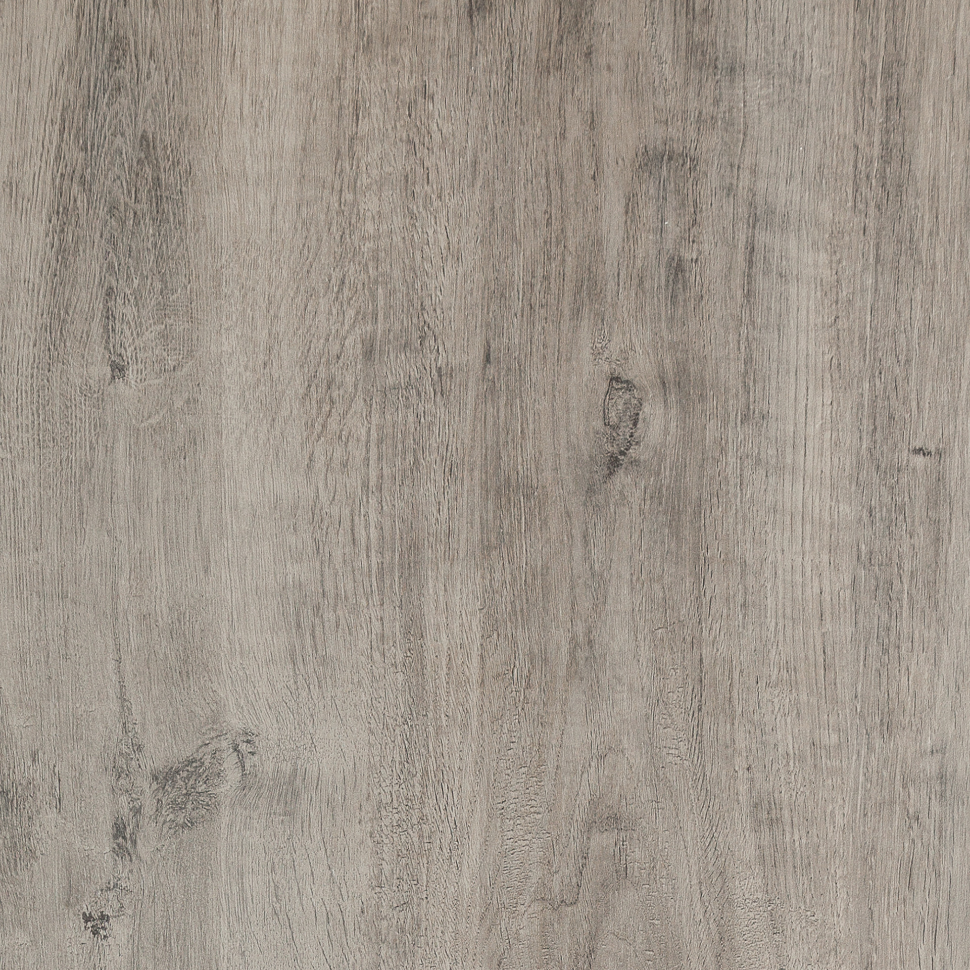 Treverkhome20 MML2