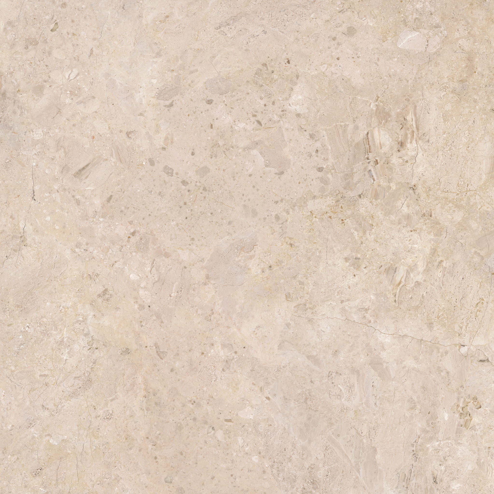 ARDARA PORCELAIN CARAMEL AS 100