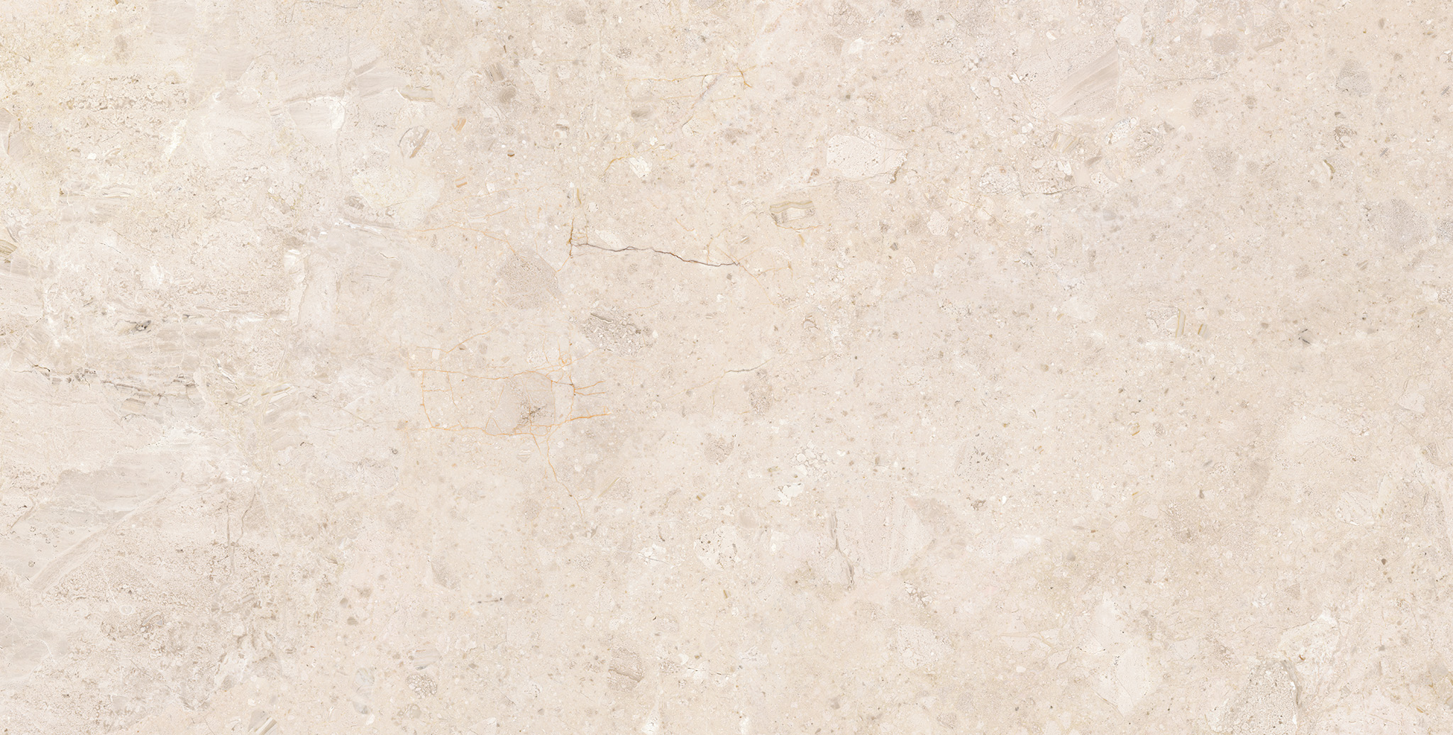 ARDARA PORCELAIN 60×120