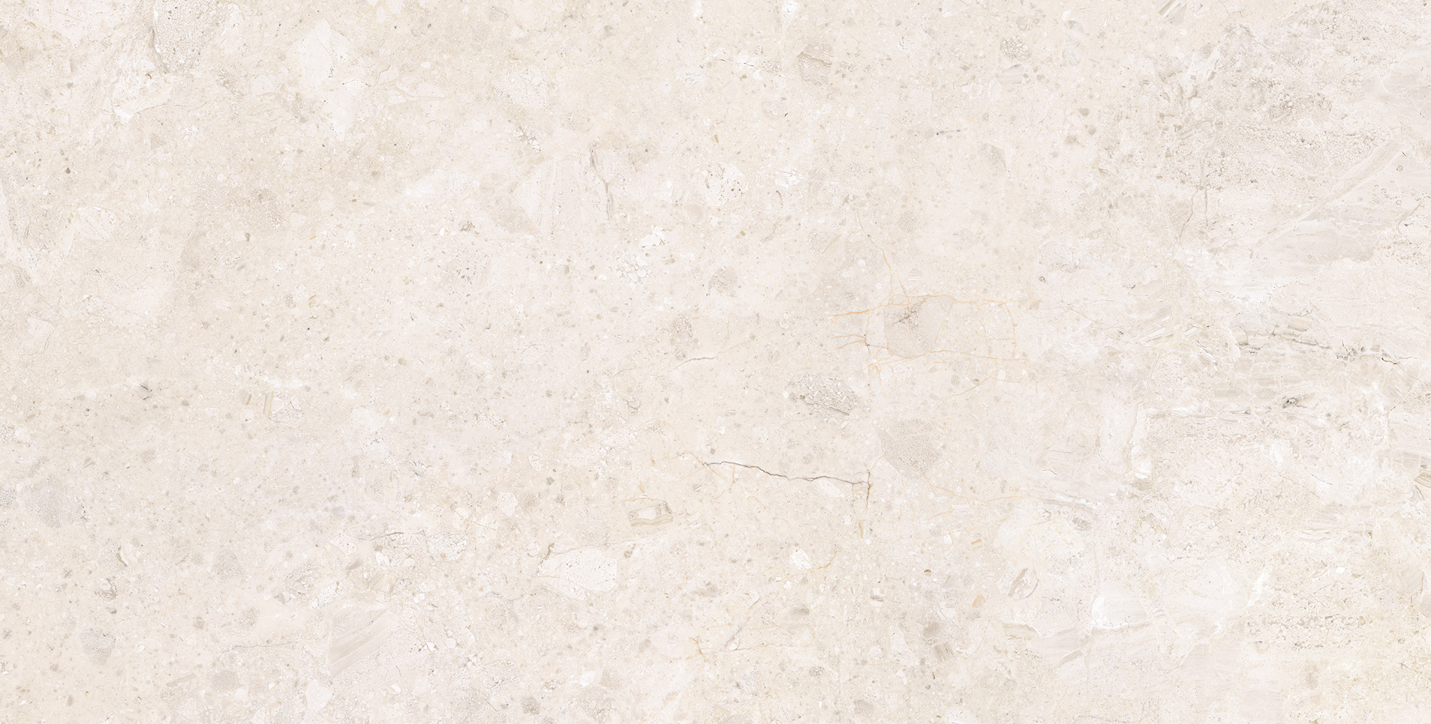 ARDARA PORCELAIN 60×120