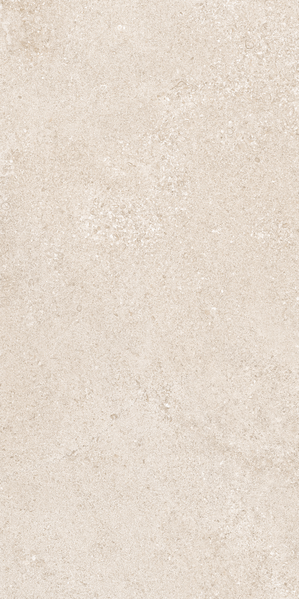 CLUNY PORCELAIN 50×100